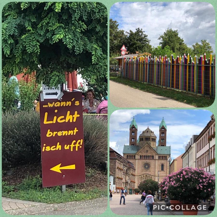Willkommen In Unserem Kleinen Paradies Venningen Extérieur photo